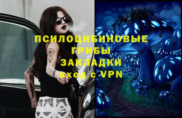 мет Белокуриха
