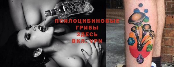гашик Белоозёрский
