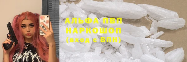гашик Белоозёрский