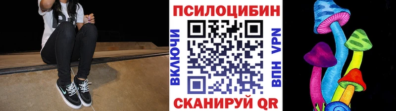 Псилоцибиновые грибы Cubensis  Купить закладки  Партизанск 